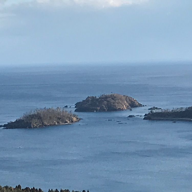 Musashiさんが投稿した亀山展望台に関する口コミの画像