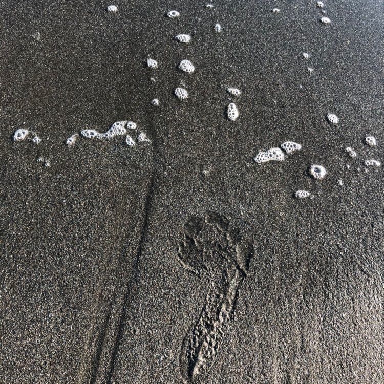 タグユウさんが投稿した片瀬東浜海水浴場に関する口コミの画像