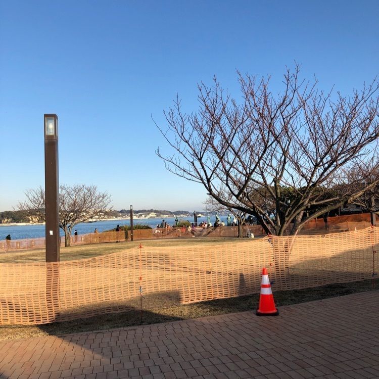 タグユウさんが投稿した吉野家 134号線江ノ島店（よしのや）に関する口コミの画像