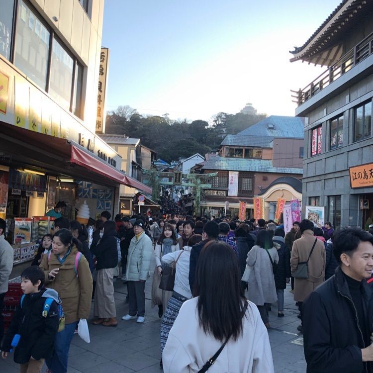 タグユウさんが投稿した吉野家 134号線江ノ島店（よしのや）に関する口コミの画像