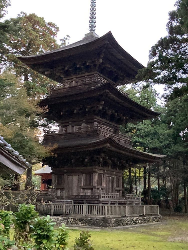 Mさんが投稿した法華宗総本山本成寺に関する口コミの画像
