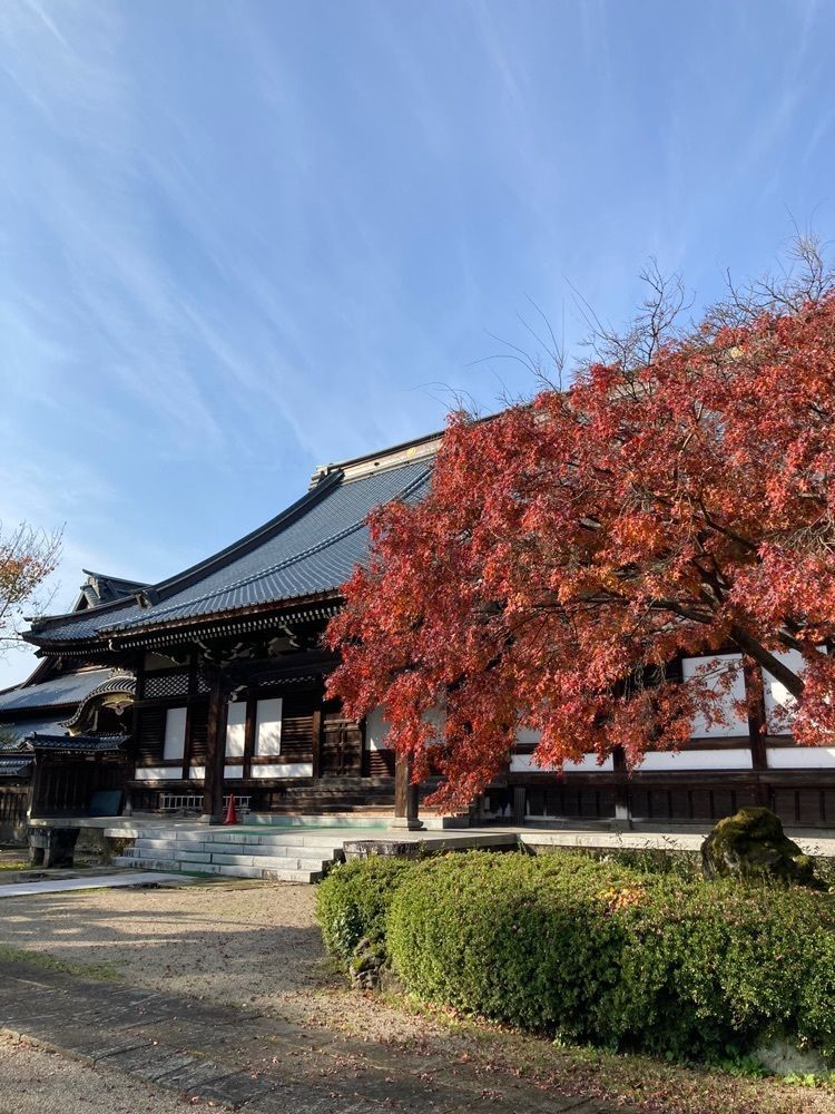 Mさんが投稿した法華宗総本山本成寺に関する口コミの画像