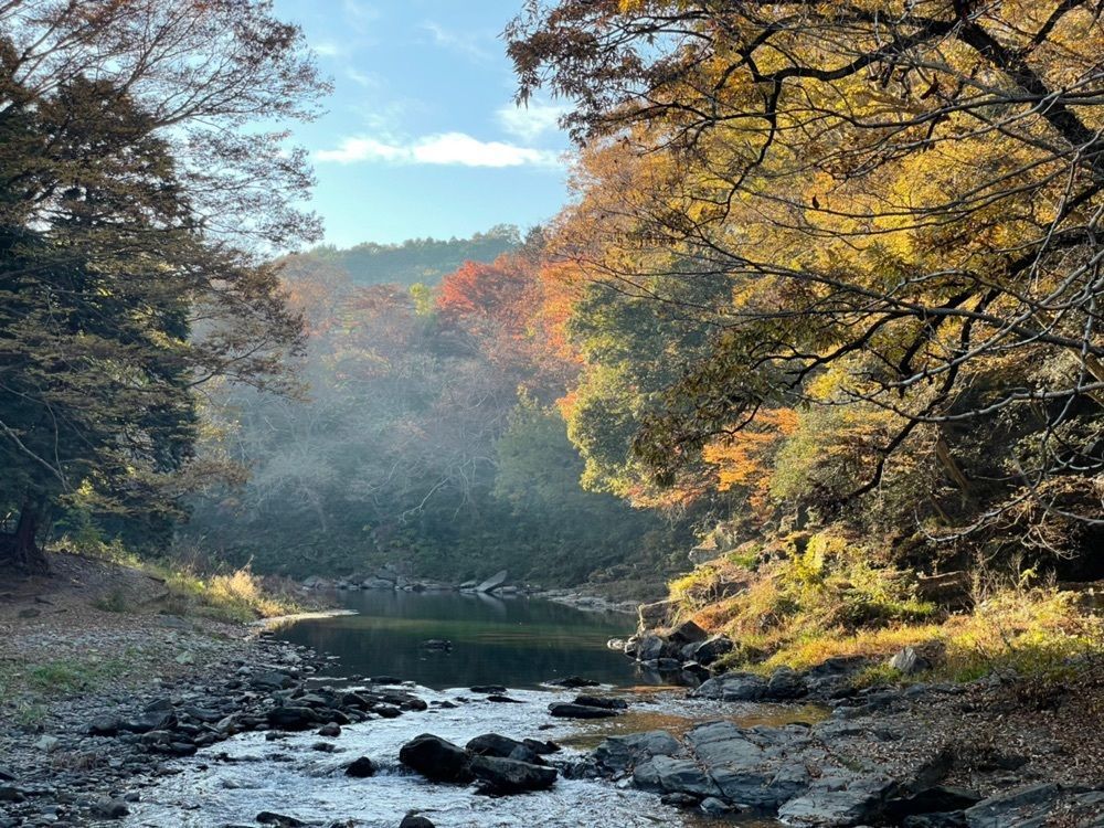 s.kさんが投稿した嵐山渓谷の紅葉に関する口コミの画像
