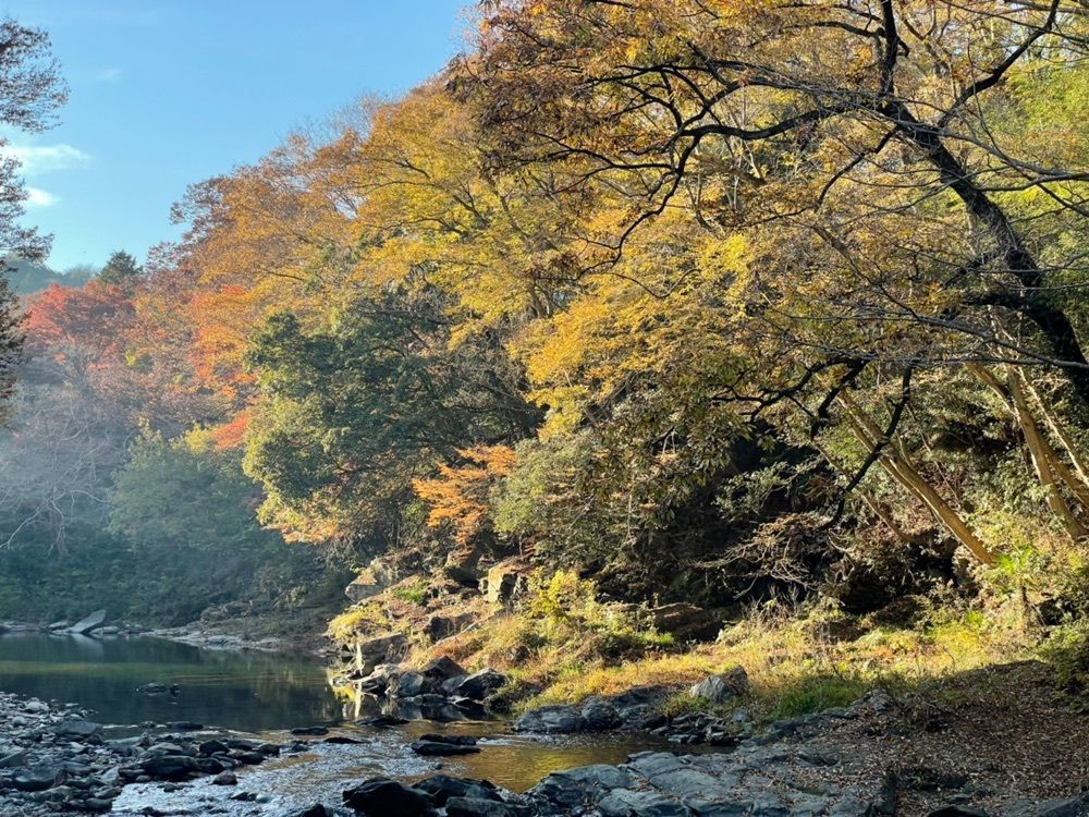 s.kさんが投稿した嵐山渓谷の紅葉に関する口コミの画像