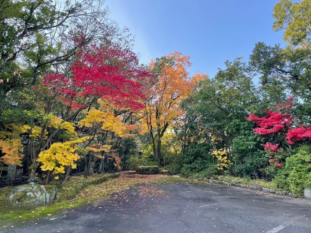 cool_hiking_591fさんが投稿した加賀山代温泉 みどりの宿 萬松閣に関する口コミの画像