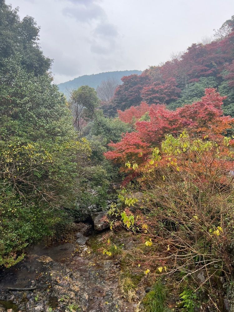 おっさん14号さんが投稿した大正屋椎葉山荘に関する口コミの画像