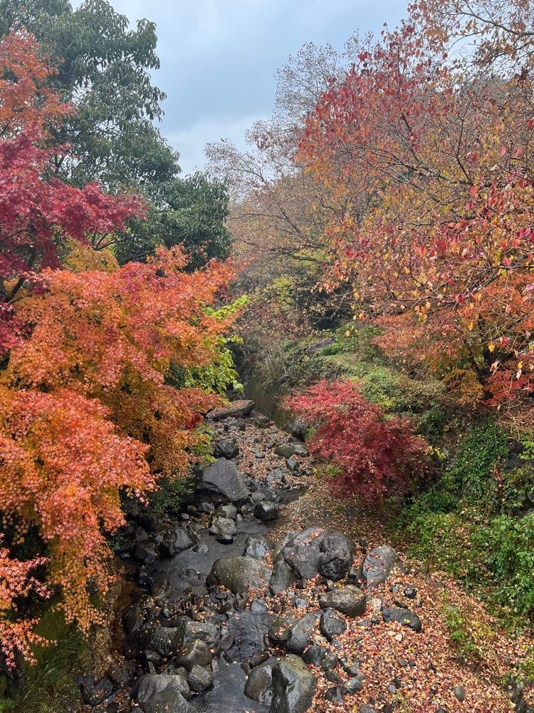 おっさん14号さんが投稿した大正屋椎葉山荘に関する口コミの画像