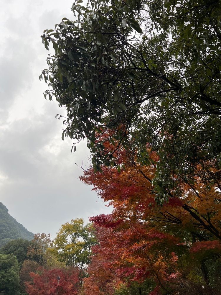 おっさん14号さんが投稿した大正屋椎葉山荘に関する口コミの画像