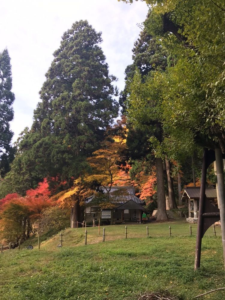 キングチェリーさんが投稿した菩提寺に関する口コミの画像