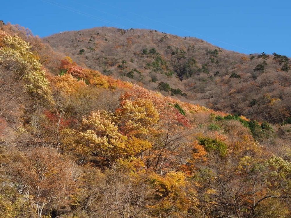 Howl Monさんが投稿した畑薙湖に関する口コミの画像