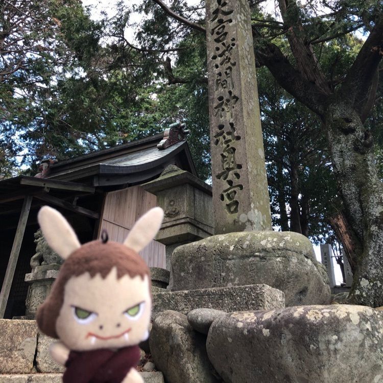 ダイン🎶さんが投稿した尾張富士大宮浅間神社に関する口コミの画像