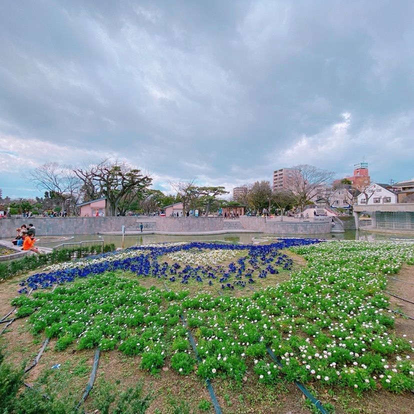 鉄道こまちさんが投稿した住吉公園に関する口コミの画像