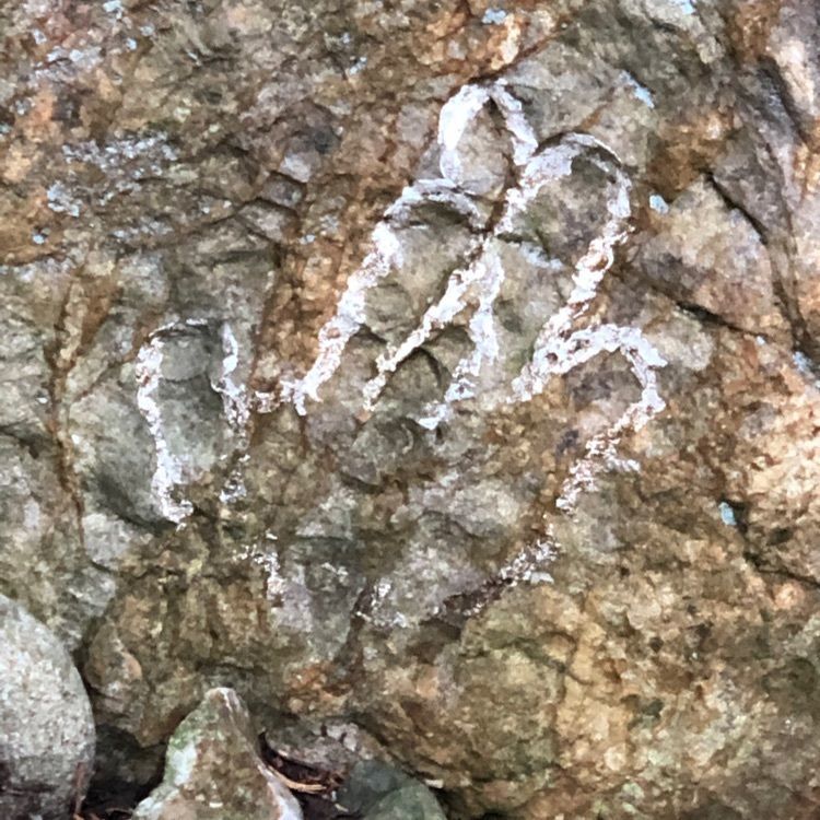 ダイン🎶さんが投稿した尾張富士大宮浅間神社に関する口コミの画像