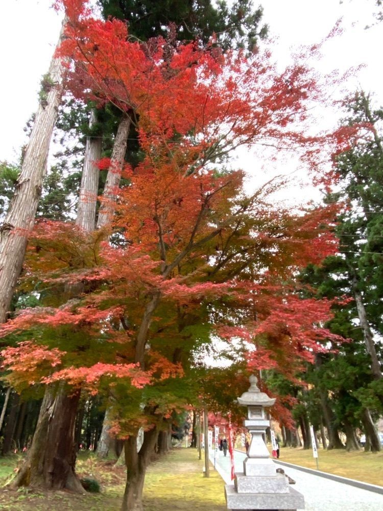 Musashiさんが投稿した賀茂神社に関する口コミの画像