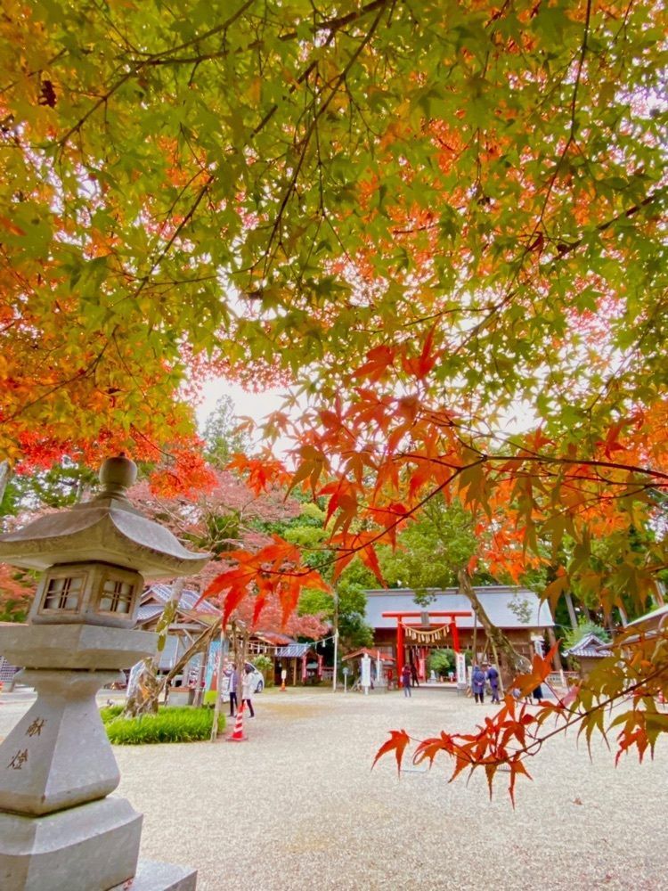 Musashiさんが投稿した賀茂神社に関する口コミの画像