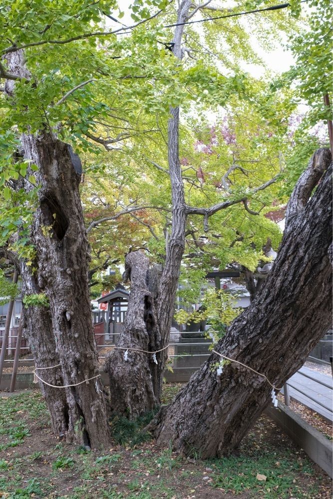 海宗さんが投稿した豊受神社に関する口コミの画像