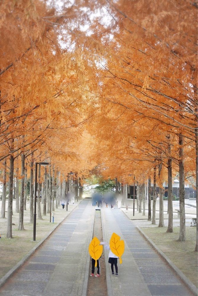 フラミンゴさんが投稿した日本へそ公園駅に関する口コミの画像