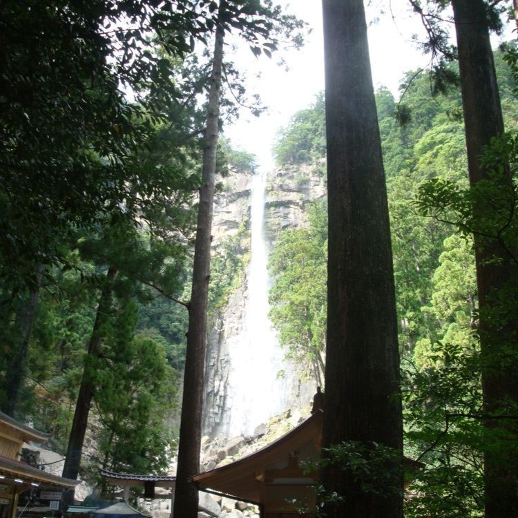 スギモさんが投稿した熊野古道に関する口コミの画像