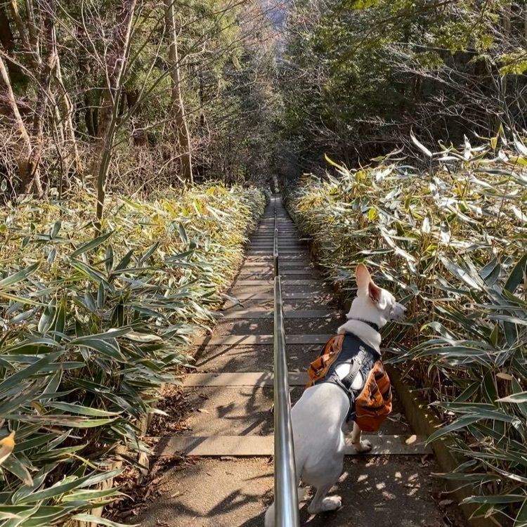 wonderful_street_830dさんが投稿した石割神社に関する口コミの画像