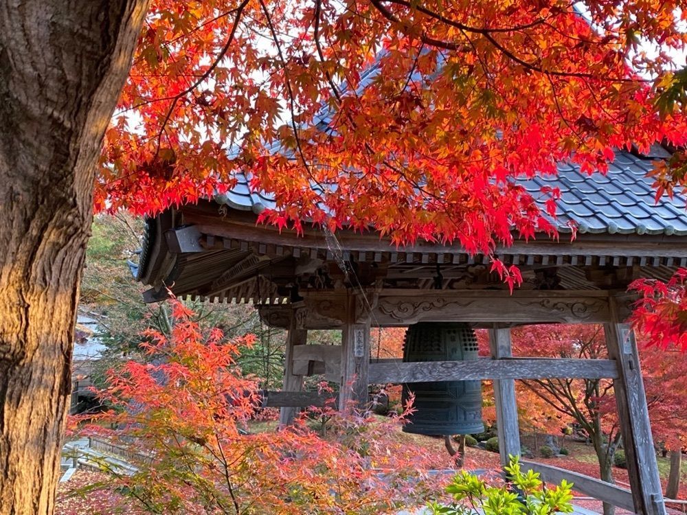 Musashiさんが投稿した香林寺山門に関する口コミの画像