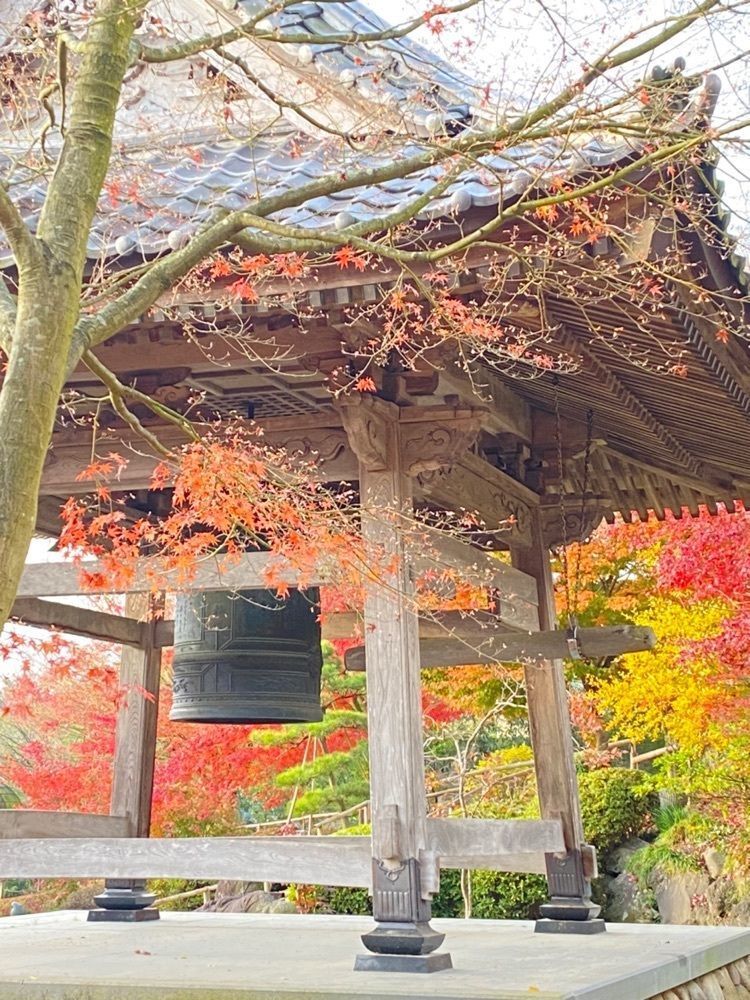 Musashiさんが投稿した香林寺山門に関する口コミの画像