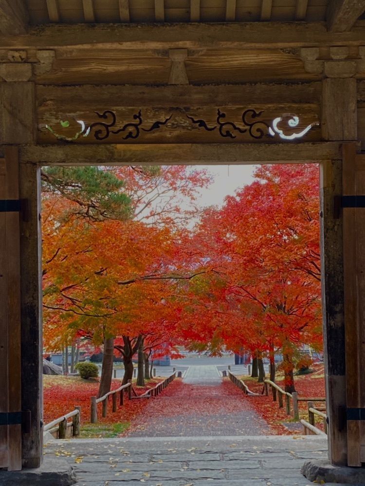 Musashiさんが投稿した香林寺山門に関する口コミの画像