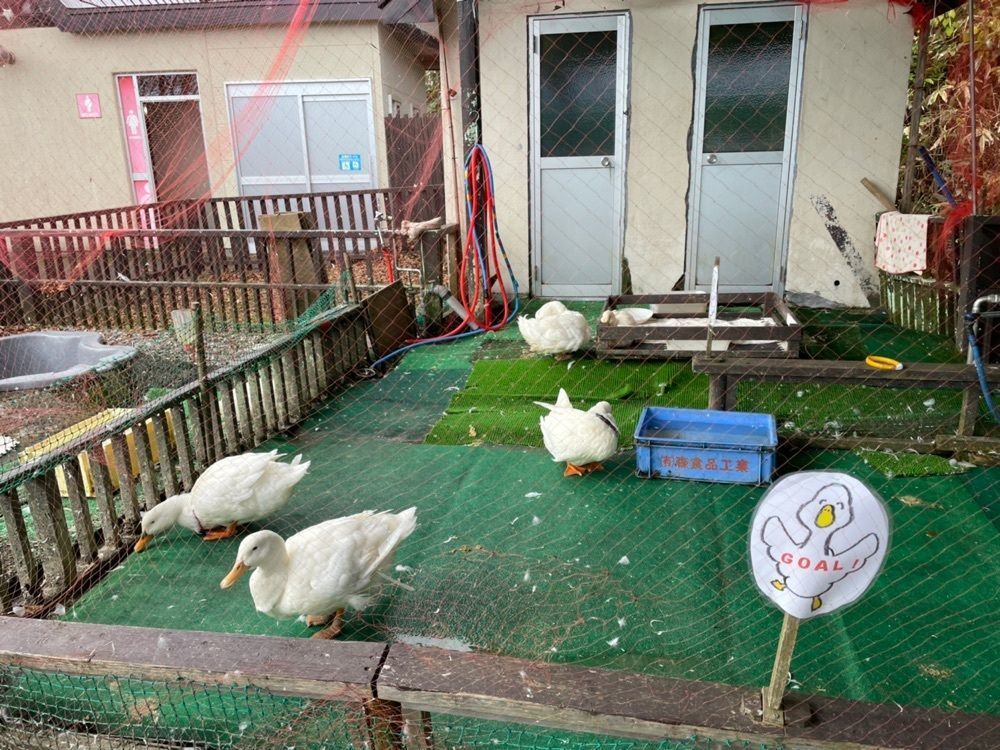 fumiさんが投稿したクマ山カフェ（【旧店名】クマ山食堂）に関する口コミの画像