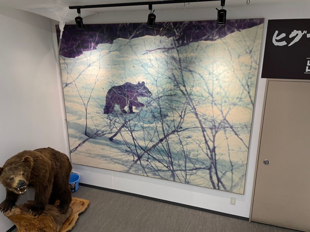 fumiさんが投稿したクマ山カフェ（【旧店名】クマ山食堂）に関する口コミの画像