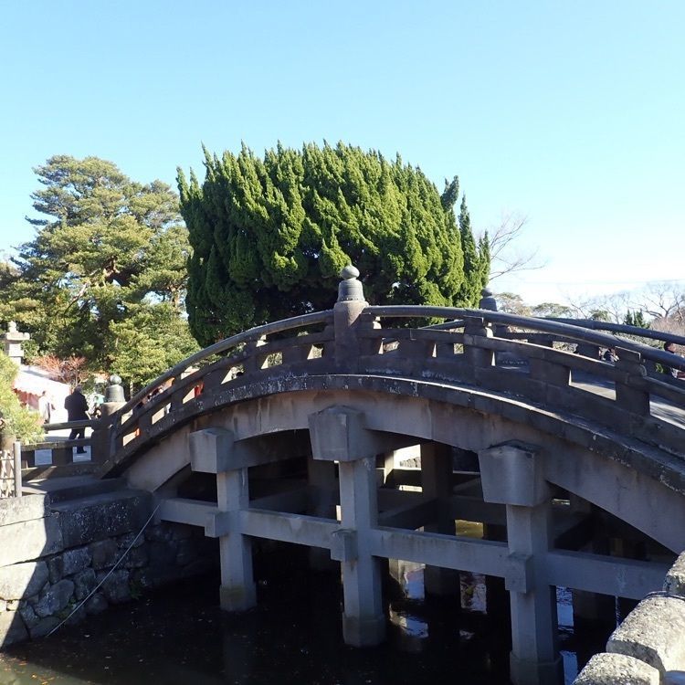 ざんぎさんが投稿した鶴岡八幡宮に関する口コミの画像