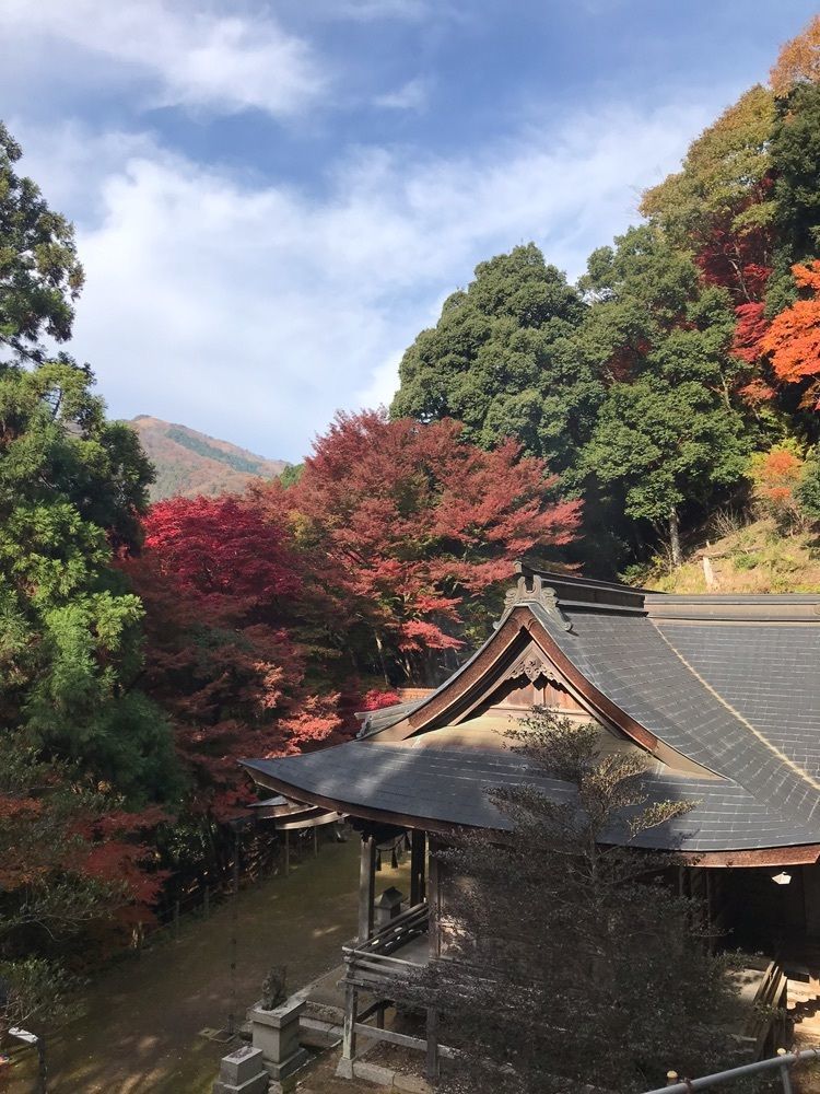 キングチェリーさんが投稿した石谷家住宅に関する口コミの画像