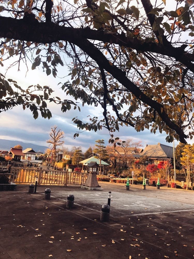 猫なぎ。さんが投稿した龍興寺沼公園に関する口コミの画像