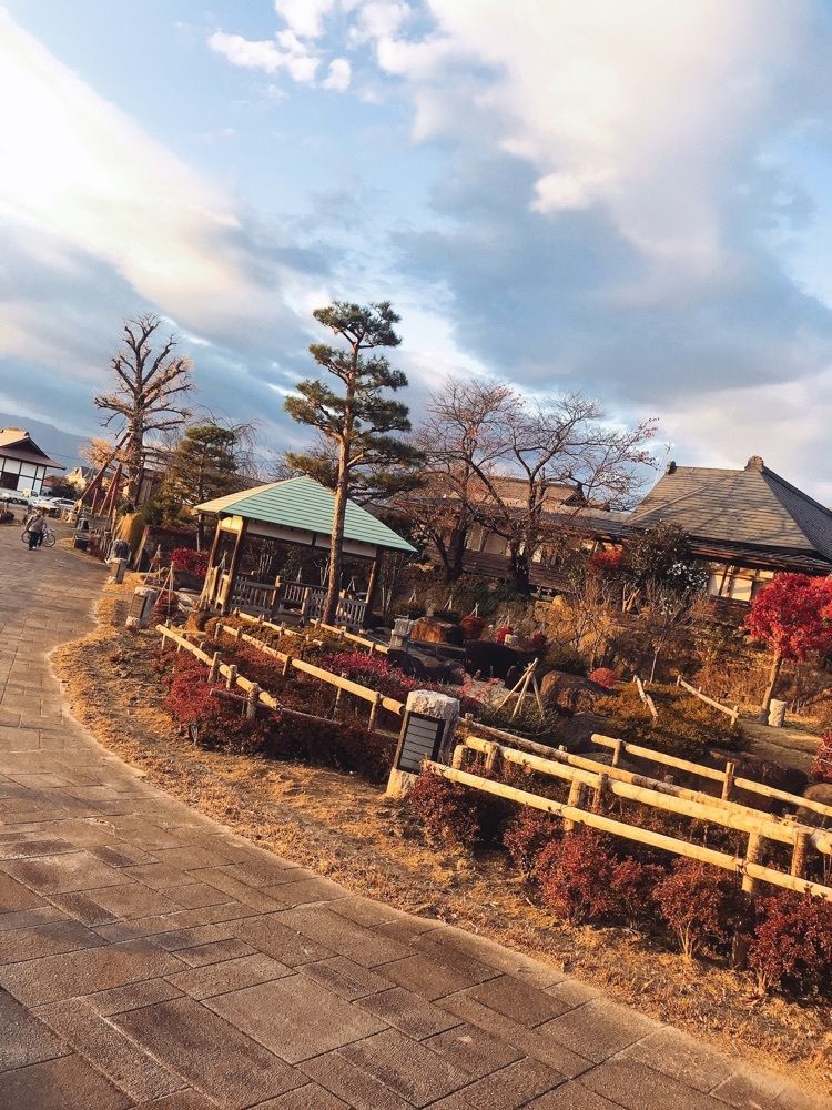 猫なぎ。さんが投稿した龍興寺沼公園に関する口コミの画像