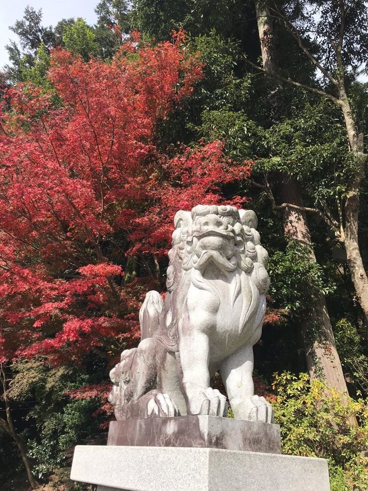 キングチェリーさんが投稿した宇倍神社に関する口コミの画像