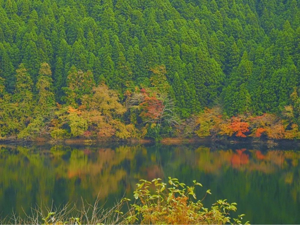 Shoさんが投稿した水沼ダムに関する口コミの画像