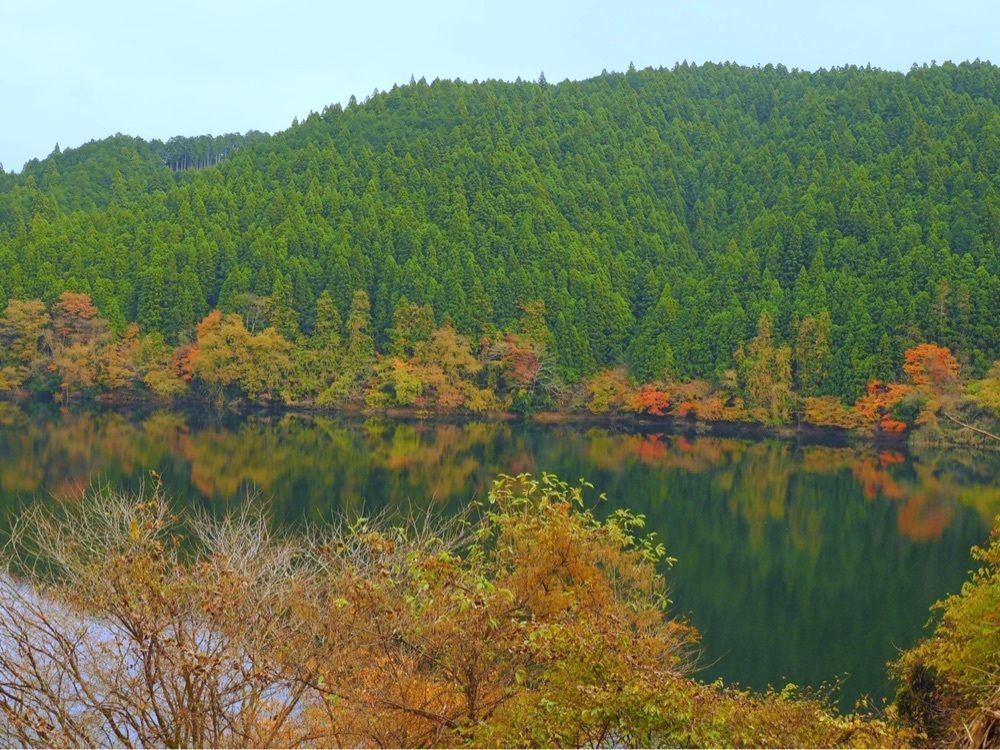 Shoさんが投稿した水沼ダムに関する口コミの画像