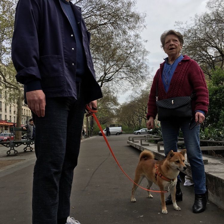 ざんぎさんが投稿したLEON DE BRUXELLESに関する口コミの画像