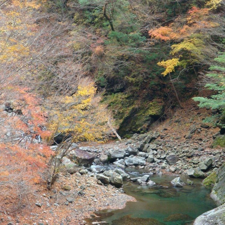 スギモさんが投稿したべふ峡に関する口コミの画像