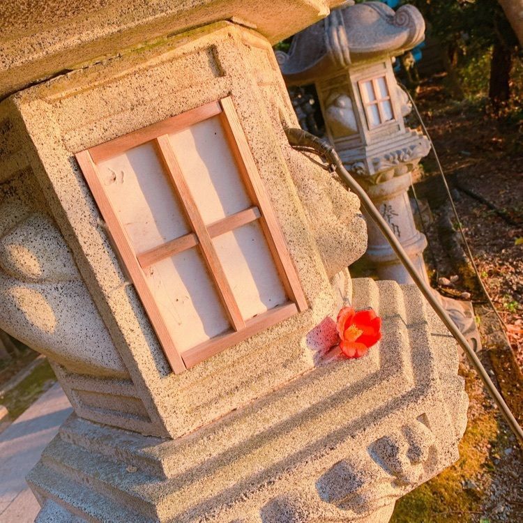 pompo-eri☆さんが投稿した家島神社に関する口コミの画像