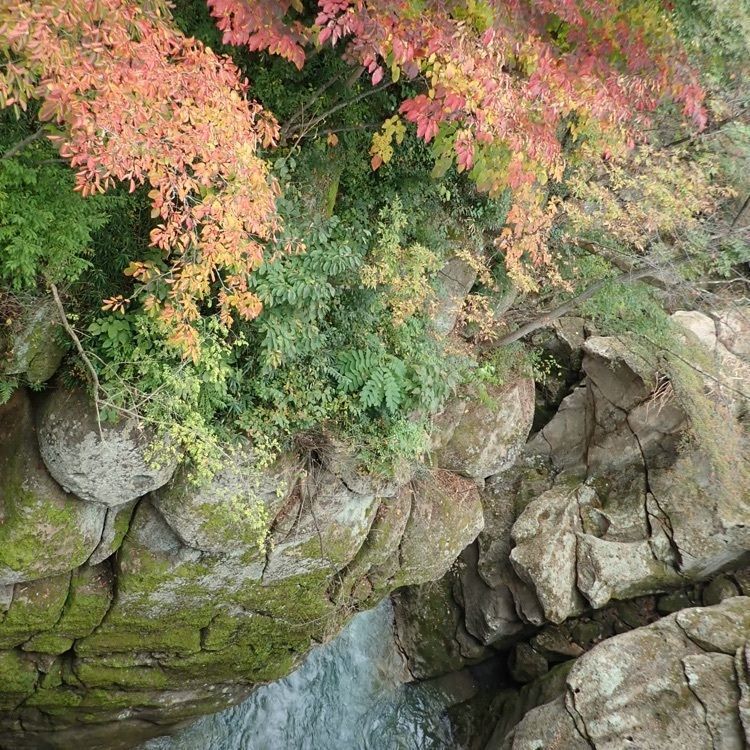 ざんぎさんが投稿した秋保温泉に関する口コミの画像