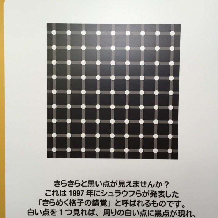 スギモさんが投稿した白浜エネルギーランドに関する口コミの画像