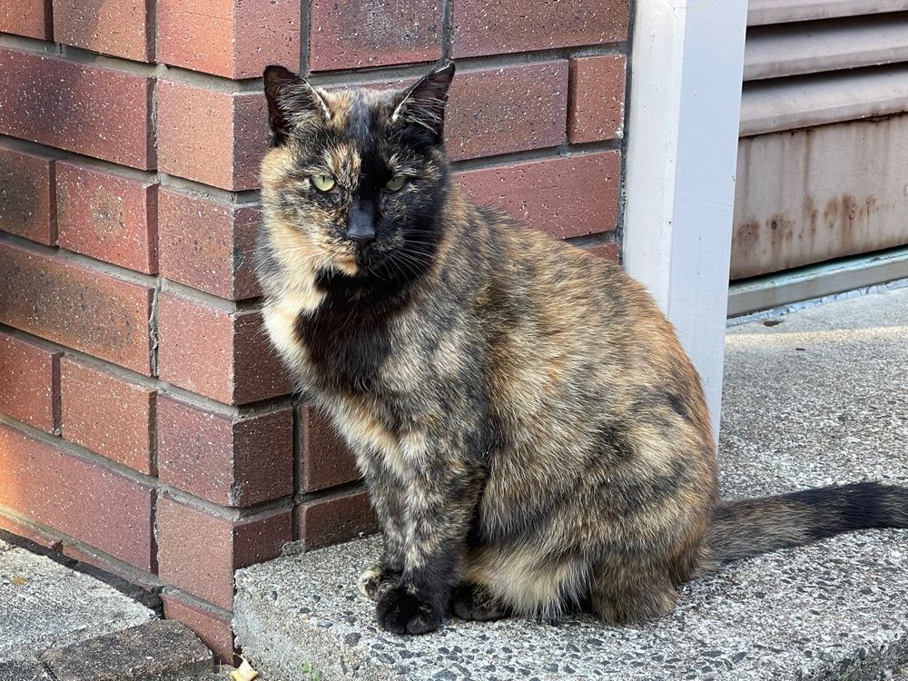 Crazymountainさんが投稿した東山手 地球館（ヒガシヤマテ チキュウカン）に関する口コミの画像
