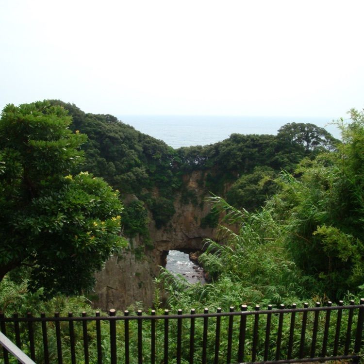 スギモさんが投稿した竜串海岸に関する口コミの画像