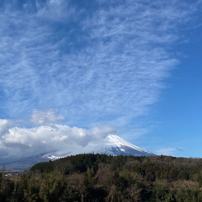 RIMさんが投稿した足柄峠城址公園に関する口コミの画像