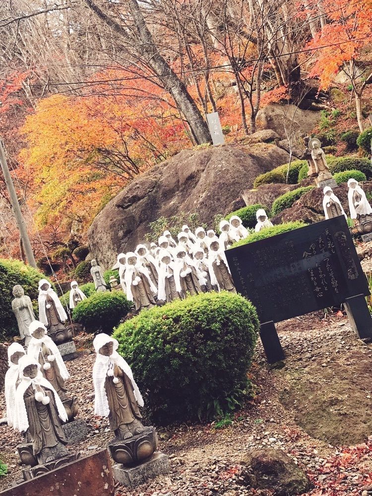 猫なぎ。さんが投稿した鎌倉山に関する口コミの画像