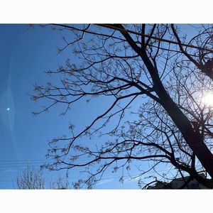 浜名湖佐久米駅　～ゆりかもめ舞う駅～ 2枚目