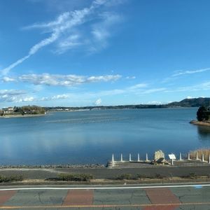 浜名湖佐久米駅　～ゆりかもめ舞う駅～ 3枚目