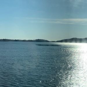 浜名湖佐久米駅　～ゆりかもめ舞う駅～ 6枚目