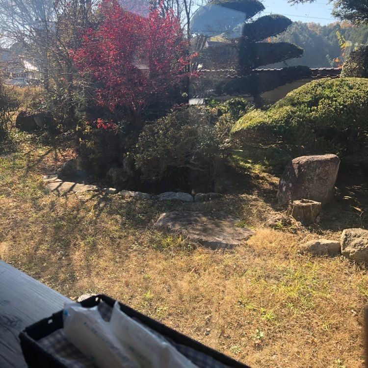 junkunさんが投稿した一葉に関する口コミの画像