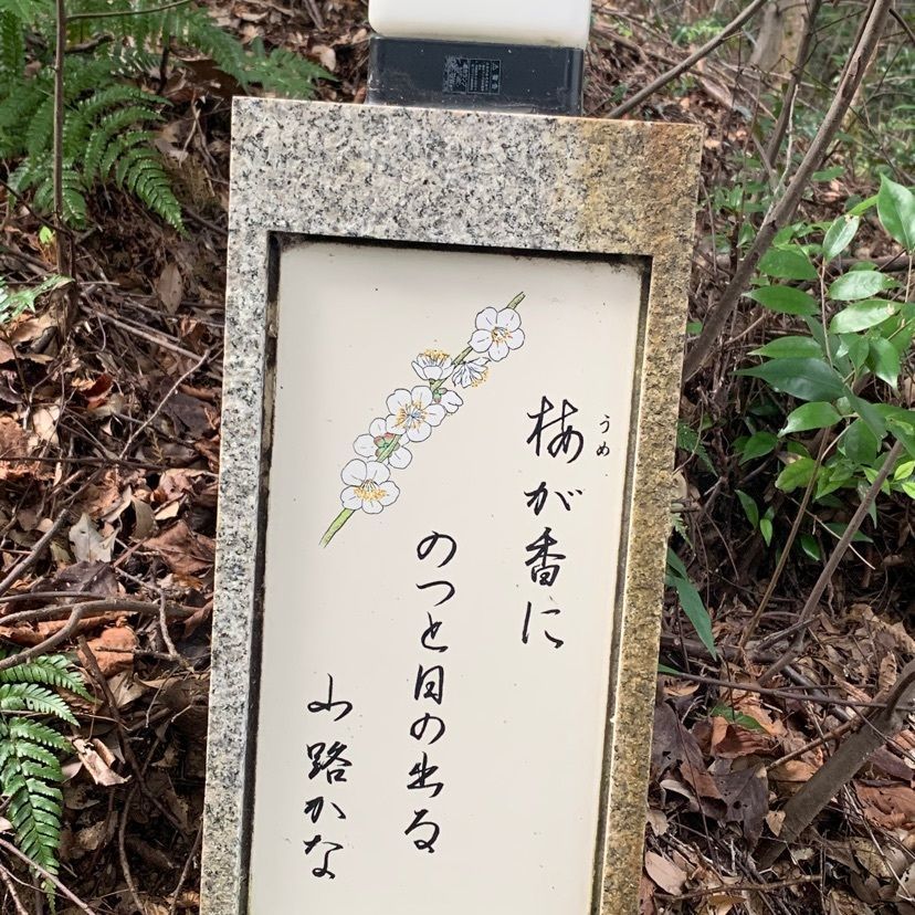 makiさんが投稿した幻住庵に関する口コミの画像