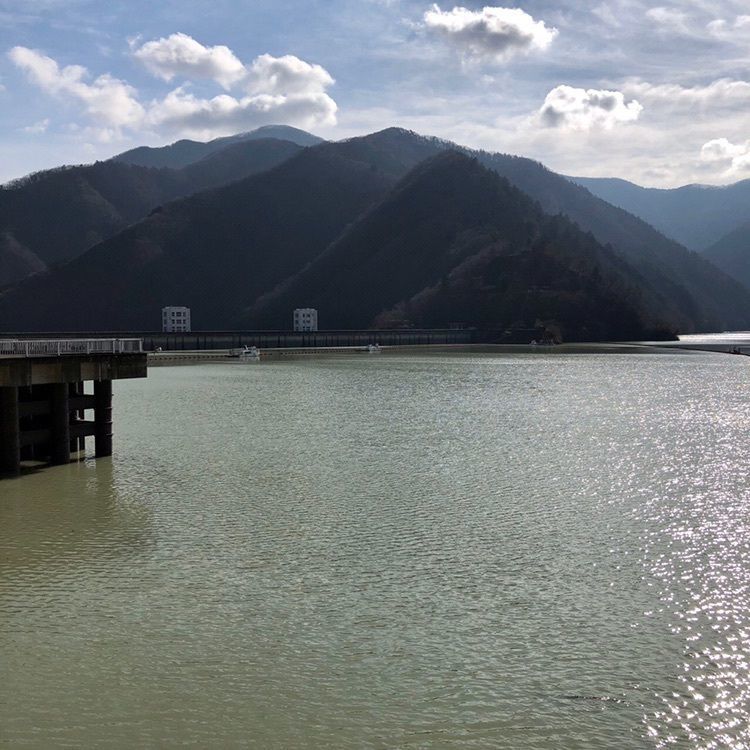 さーとし1018さんが投稿した奥多摩湖の桜に関する口コミの画像
